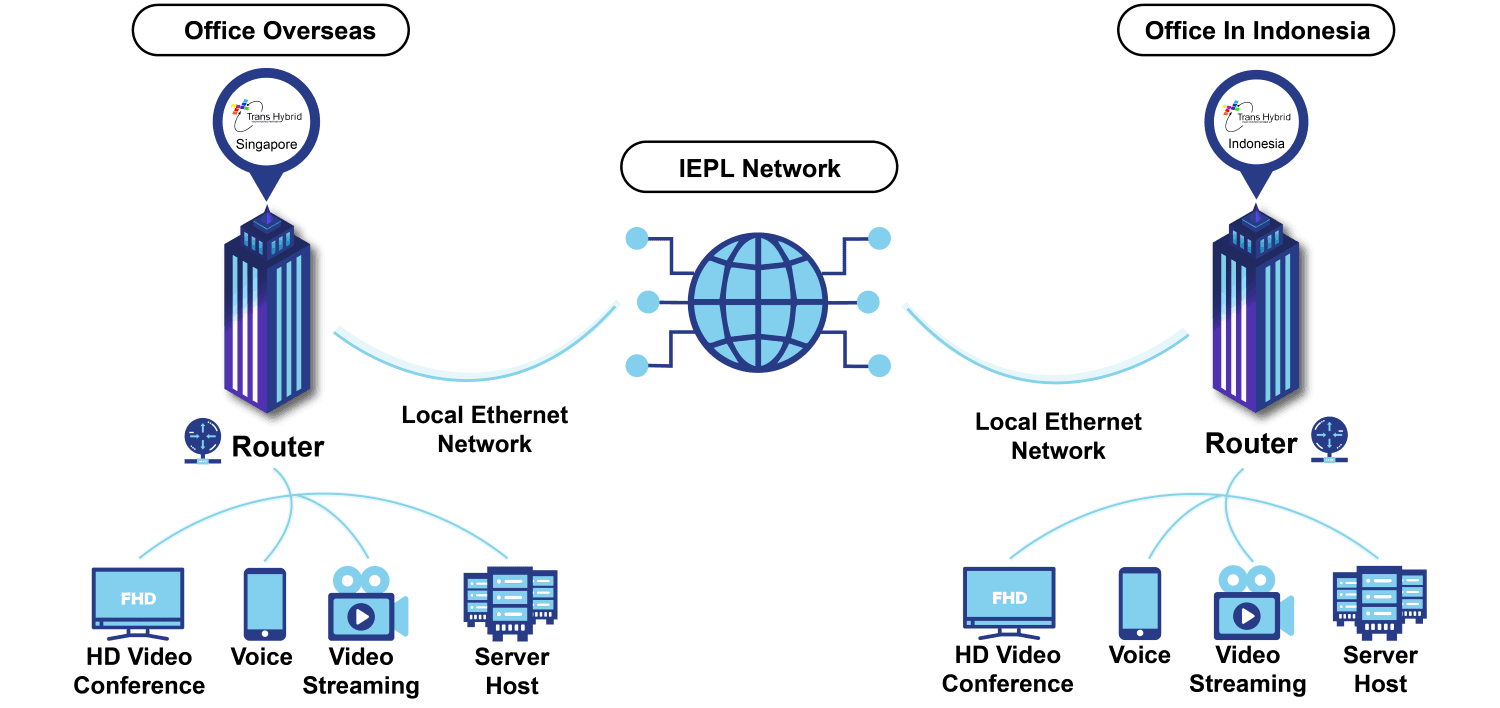 topologi